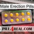 Male Erection Pills new11